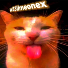 w33llmeonex