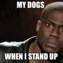 KEVIN HART ROAST COMPILATION [SHI ⚙️]