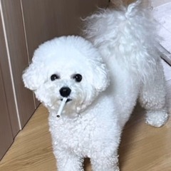 아몬드봉봉