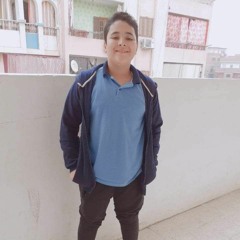 Mostafa Elshewikh