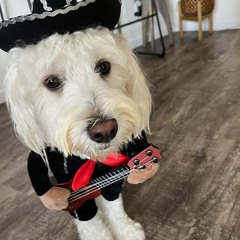 Shafeeq Shamsid-Deen