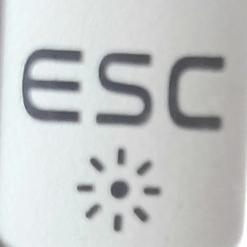 ESC’s avatar
