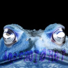 『⸸ηԑငᖆ0Ṯ⦱卂Đ𐀣』