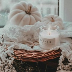 fall/winter/spring/summer