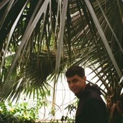 Skelter