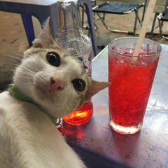 Chính Mỹ No1
