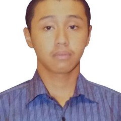 Muhammad Faizir Hafidz