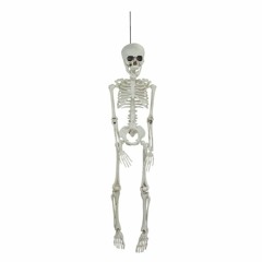 Hanging skeleton