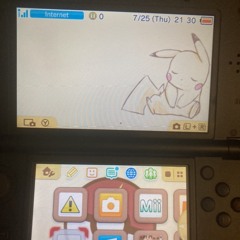 nuli ‘s fl3sh