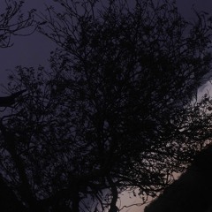 Ciarán Diver Composer