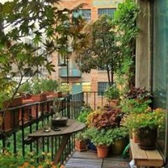 Basmala Mohamed Mahmoud