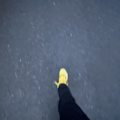 chasing