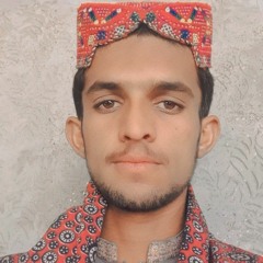 M Hussain Sirohi