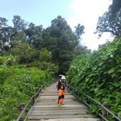 Sigit Zaenal Effendi