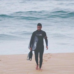Le requin