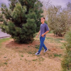 ali  taraz