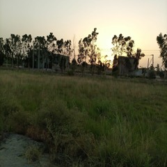 lost