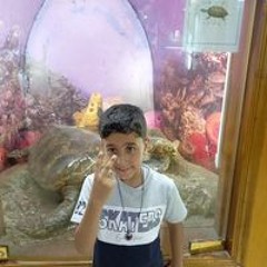 محمد خيري