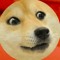 doggo