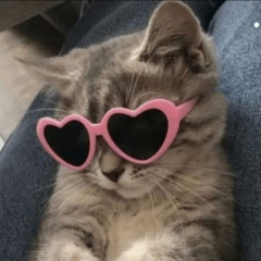 🐾