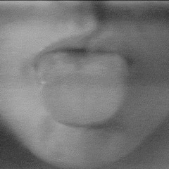 THIEVES OF THE MONTH