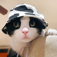 Nguyễn Minh Nhựt