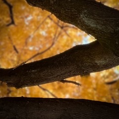 Greater Than or Equal To