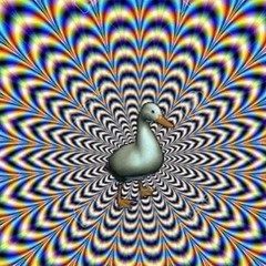 mr.quackaddict
