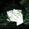 ☆ tombfell ☆