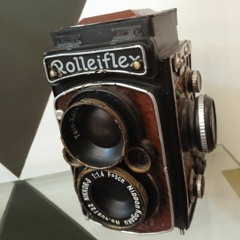Bazlieeal 007899