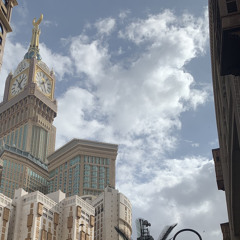 اللوتس|Lotus