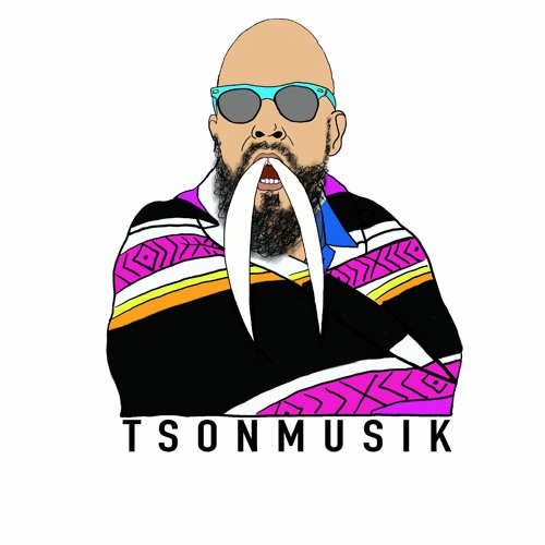 TSONMUSIK’s avatar