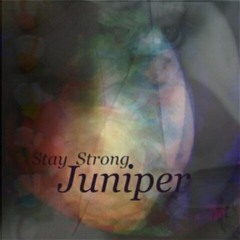 stay strong juniper