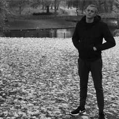 Erikas Šedys