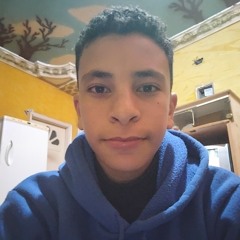 Shehata Sameh