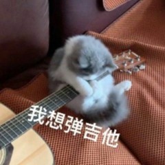 mr_tangerine
