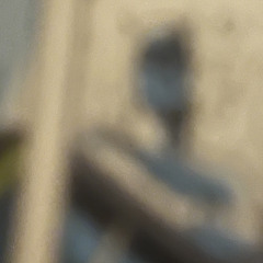 alfonzo b
