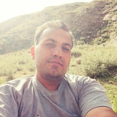 Hamid