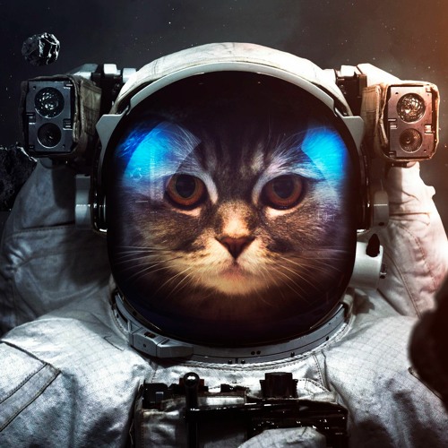 UnknownCosmonaut’s avatar