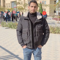 Amr Tawfik