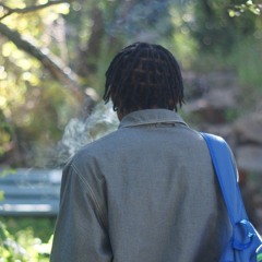 Wolf Backwards