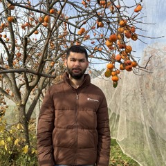 Sharjeel