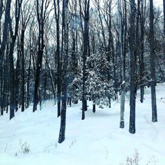 𝘿𝙚𝙖𝙙 𝙄𝙣 𝙎𝙣𝙤𝙬