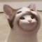 User 60721370