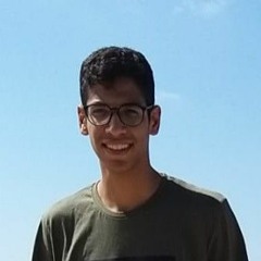 Mohamed Hatem
