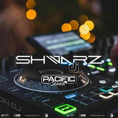 SHWARZ - BURAKA SOUND SYSTEMA (Remix) 2025.mp3