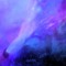 White Fox Music