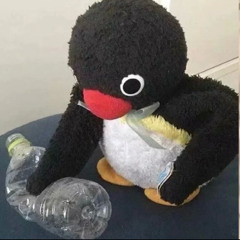 씨몽키