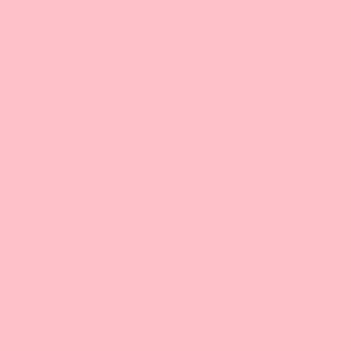 Pink Lane Radio’s avatar