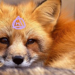 ╺⃝⃤Theiran Fox Morgan™╺⃝⃤